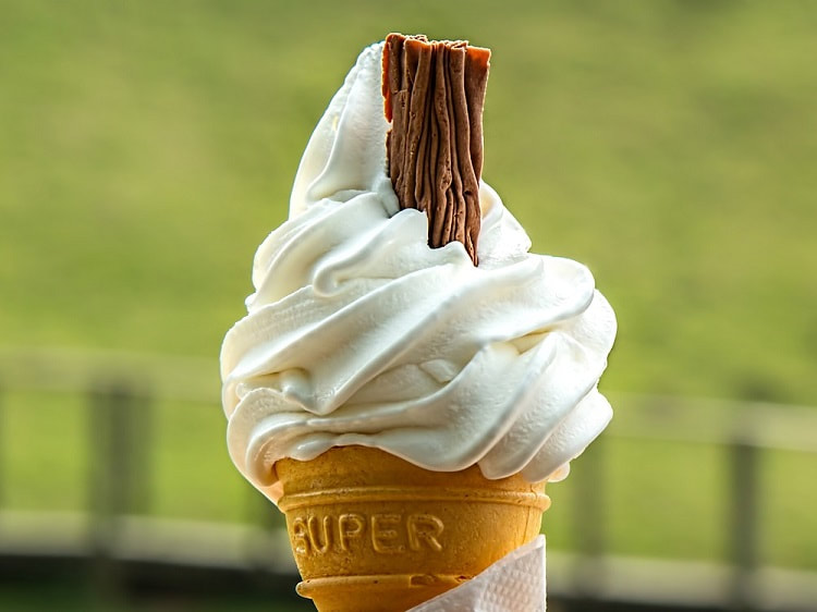 Photo of a whippy ice cream with a 99 chocolate flake