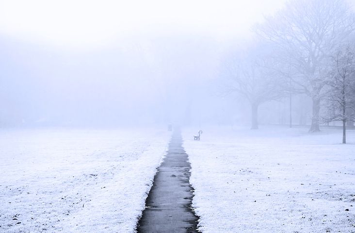 Snowy foggy scene in the park
