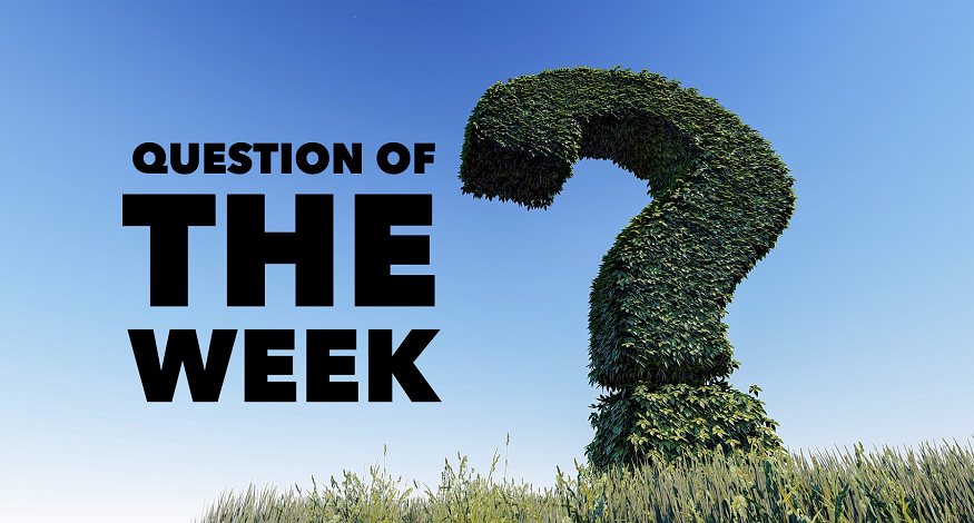 Perfect Layout's Question of the Week imaga