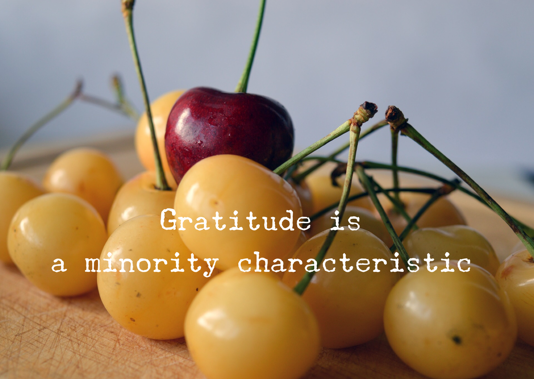 bunch of yellow cherries with just one red cherry on top. written on this photograph are the words, gratitude is a minority characteristic.