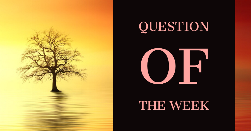 the words question of the week are written on a white piece of paper that is hung up by a peg on a rope.