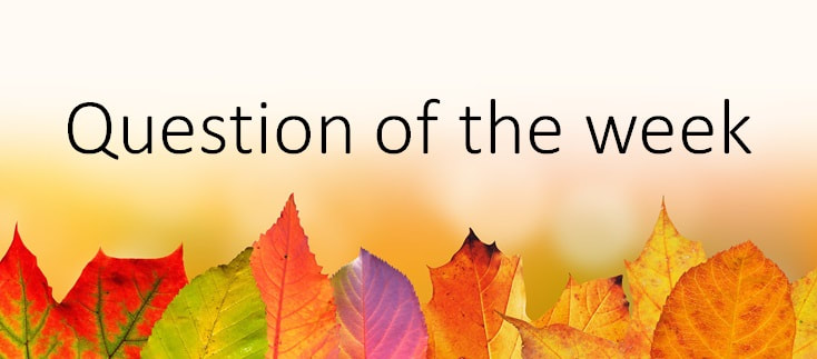 Perfect Layout Digital Marketing Question of the week image_Autumn leaves