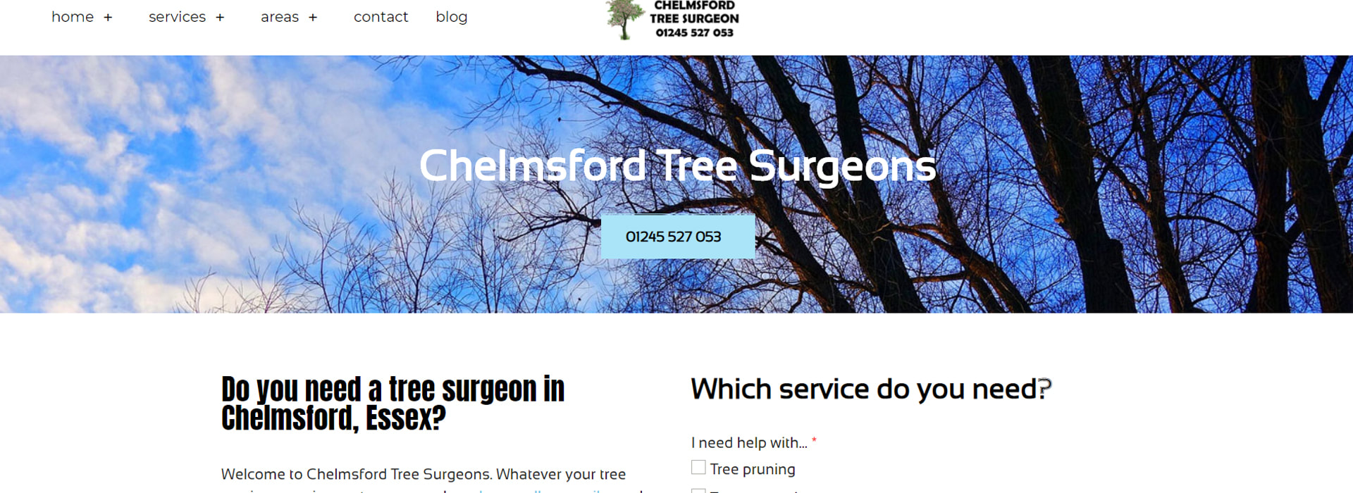 Chelmsford Tree Surgeon