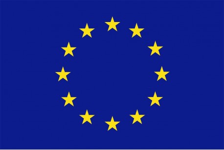 image of the european union flag