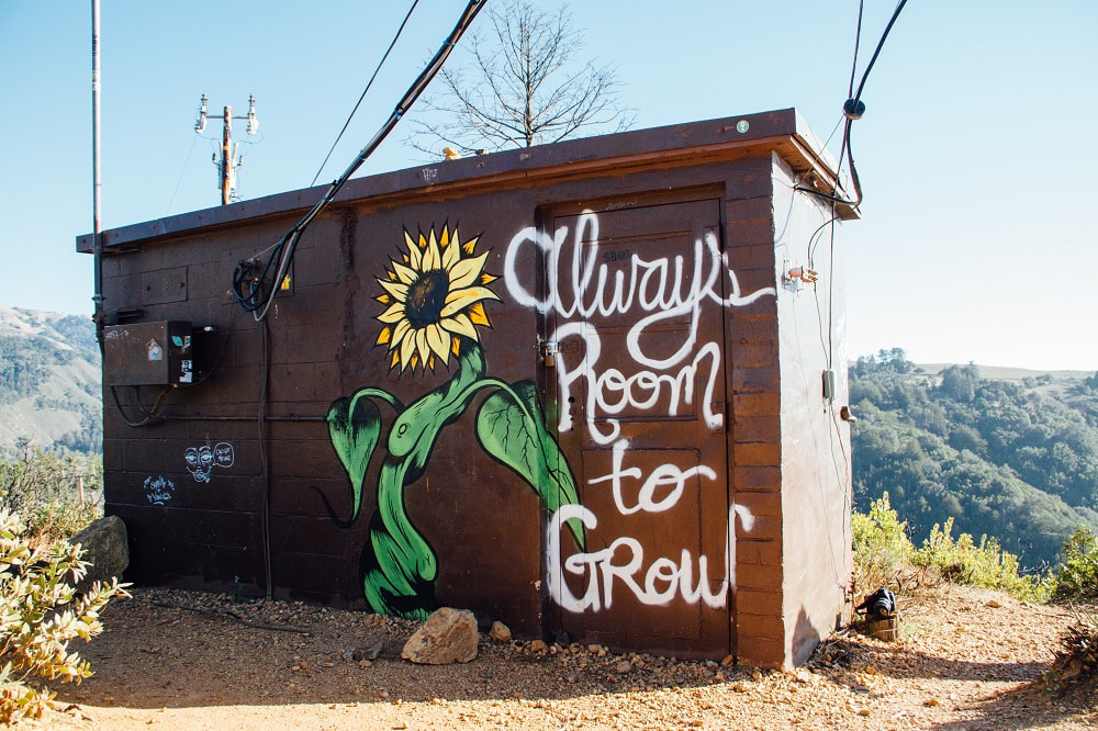 outdoor shed with a large painted sunflower and words_blog image_perfect layout digital marketing