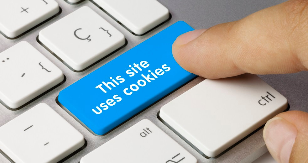 Website browser cookies_blog image_What are they?_Perfect Layout Digital Marketing