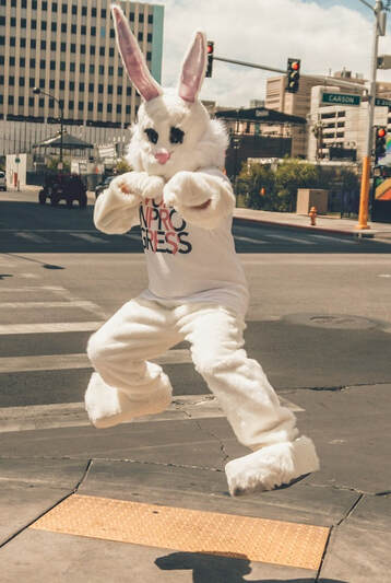 person in rabbit mascot jumping near road side