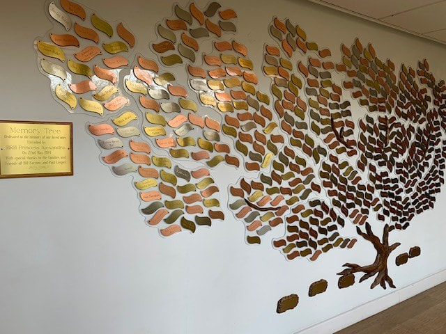 Wall of remembrance for previous patients of Saint Francis Hospice, Havering-atte-Bower_coloured leaves etched with loved ones names in the form of a glistening tree