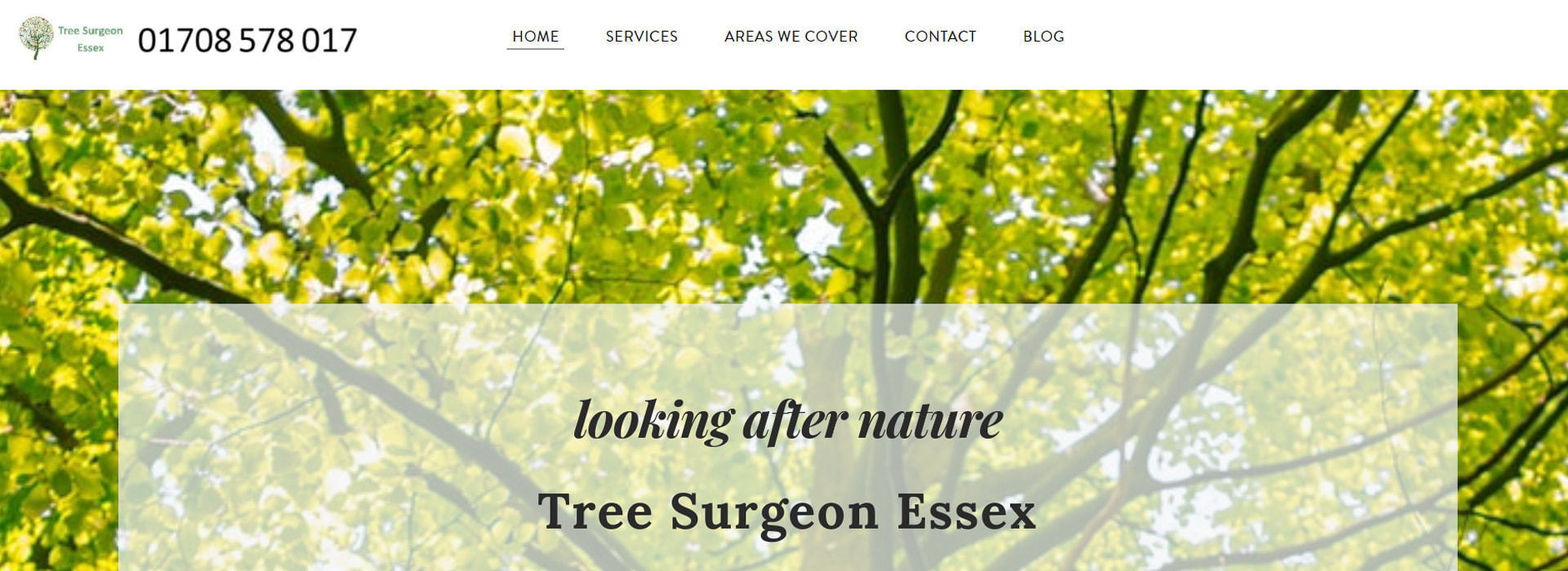 Tree Surgeon Essex
